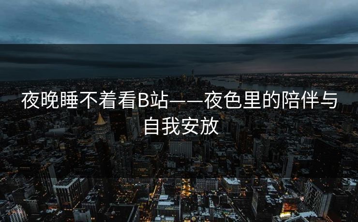 夜晚睡不着看B站——夜色里的陪伴与自我安放